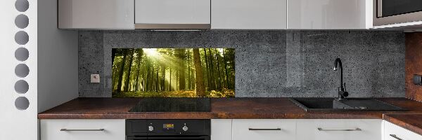 Kitchen splashback a pine forest