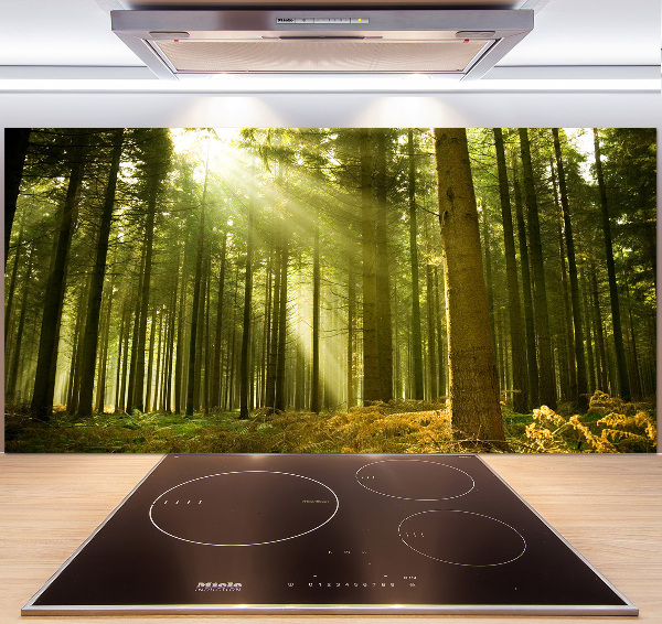 Kitchen splashback a pine forest