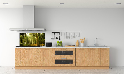 Kitchen splashback a pine forest