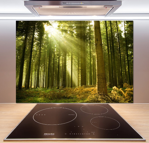 Kitchen splashback a pine forest