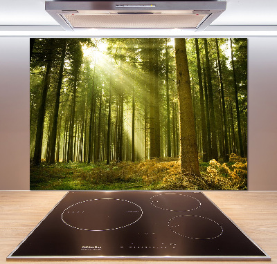 Kitchen splashback a pine forest