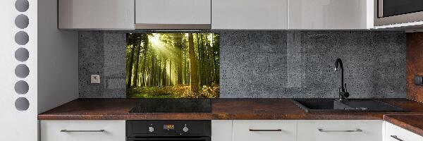 Kitchen splashback a pine forest