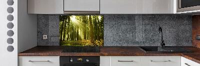 Kitchen splashback a pine forest