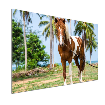 Cooker splashback Spotted horse