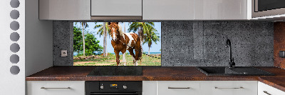 Cooker splashback Spotted horse