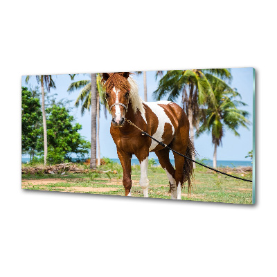 Cooker splashback Spotted horse