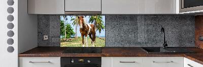 Cooker splashback Spotted horse