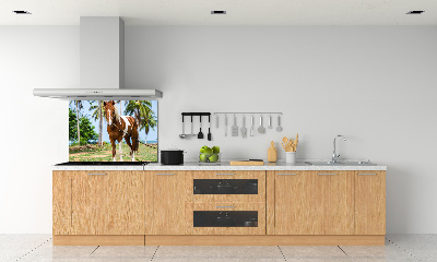 Cooker splashback Spotted horse