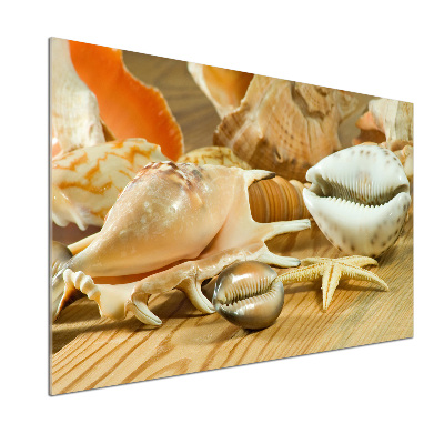 Kitchen splashback Shells on wood