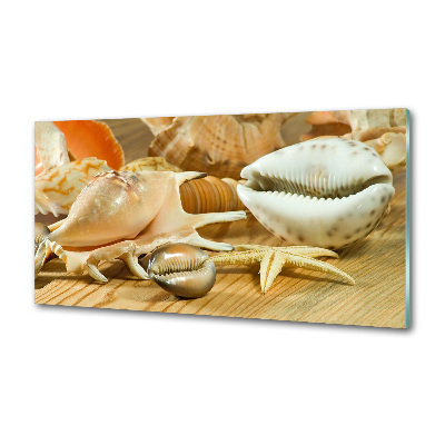 Kitchen splashback Shells on wood