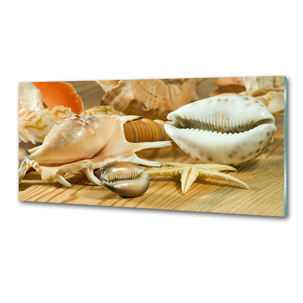 Kitchen splashback Shells on wood