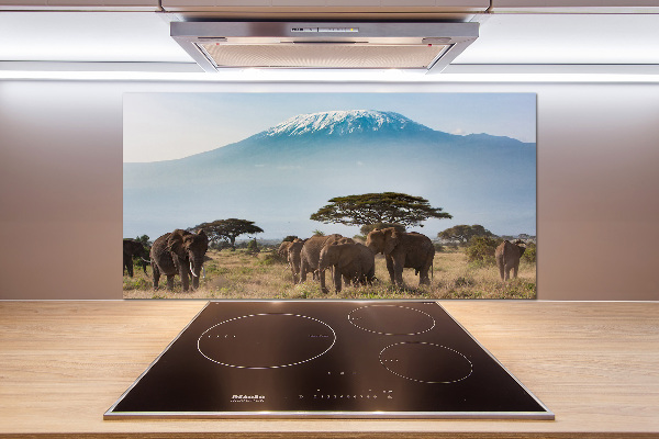 Cooker splashback Kilimanjaro elephants