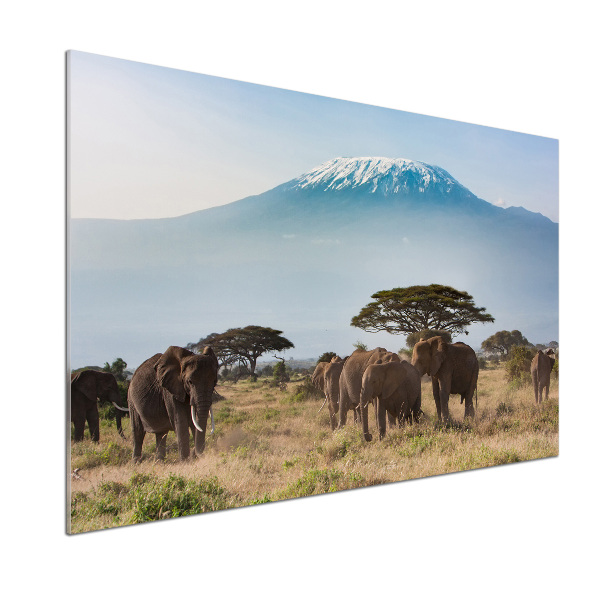 Cooker splashback Kilimanjaro elephants