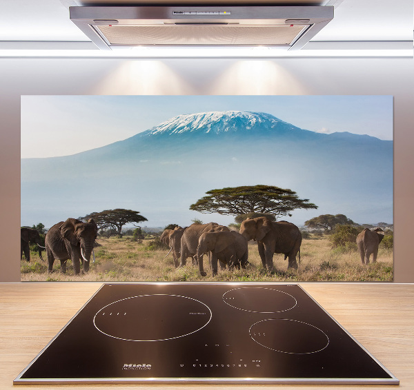 Cooker splashback Kilimanjaro elephants