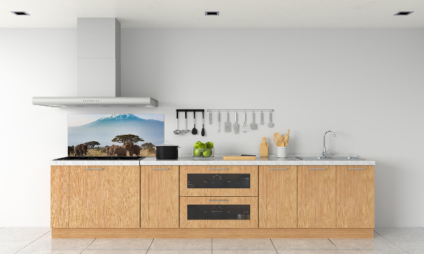 Cooker splashback Kilimanjaro elephants