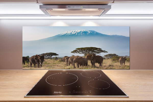 Cooker splashback Kilimanjaro elephants