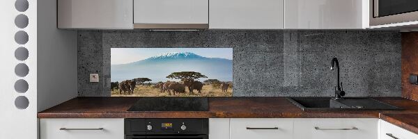 Cooker splashback Kilimanjaro elephants