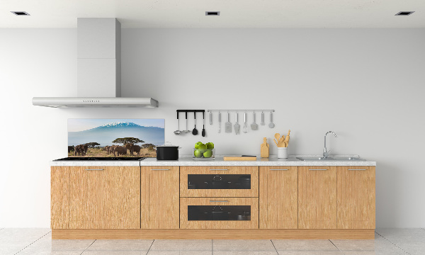 Cooker splashback Kilimanjaro elephants