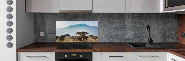 Cooker splashback Kilimanjaro elephants