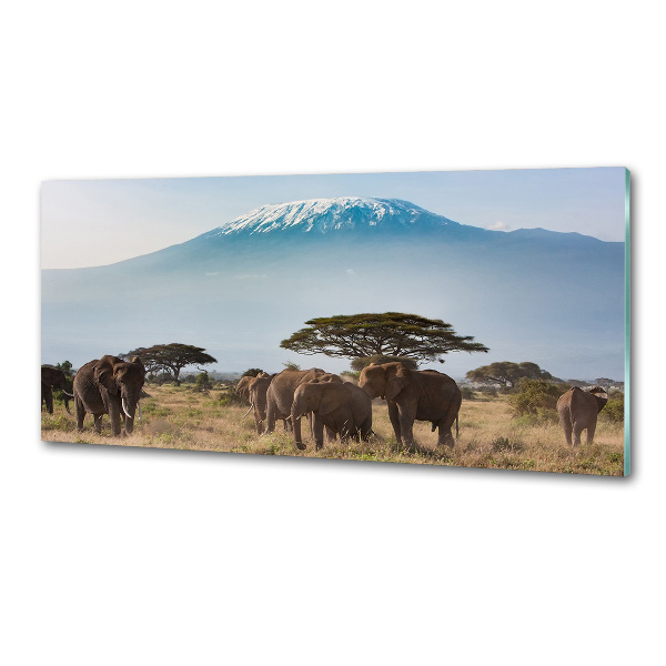 Cooker splashback Kilimanjaro elephants