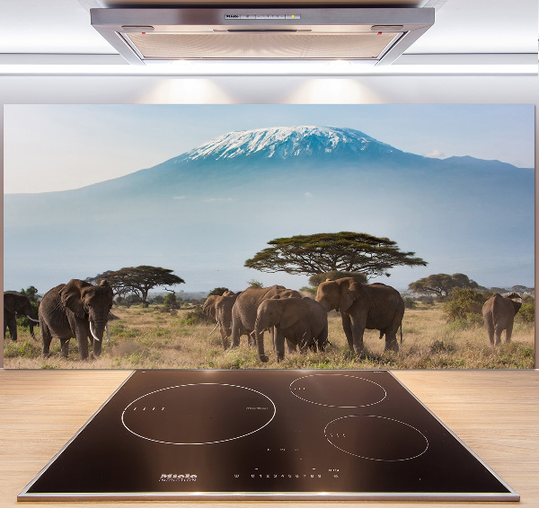 Cooker splashback Kilimanjaro elephants