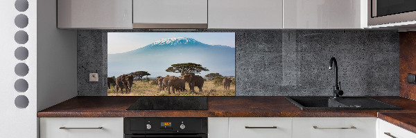 Cooker splashback Kilimanjaro elephants