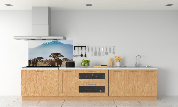 Cooker splashback Kilimanjaro elephants