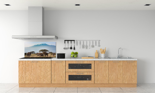 Cooker splashback Kilimanjaro elephants