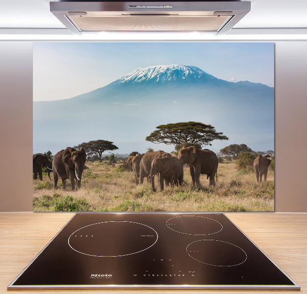 Cooker splashback Kilimanjaro elephants