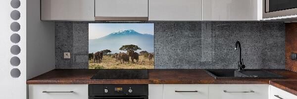 Cooker splashback Kilimanjaro elephants