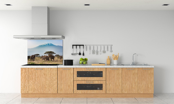 Cooker splashback Kilimanjaro elephants