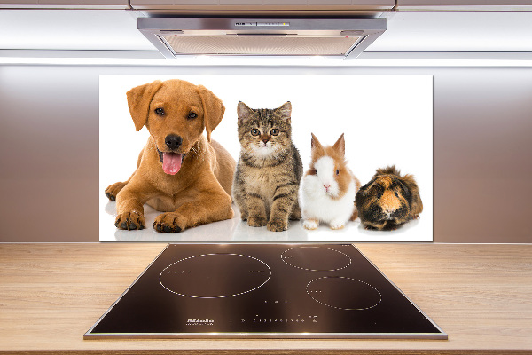 Cooker splashback Dog and cat