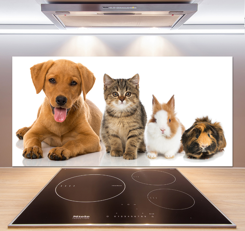 Cooker splashback Dog and cat