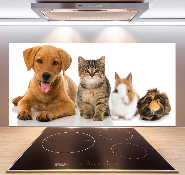 Cooker splashback Dog and cat