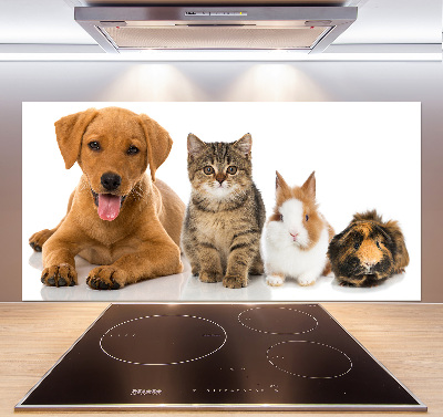 Cooker splashback Dog and cat