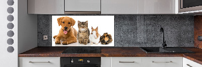 Cooker splashback Dog and cat