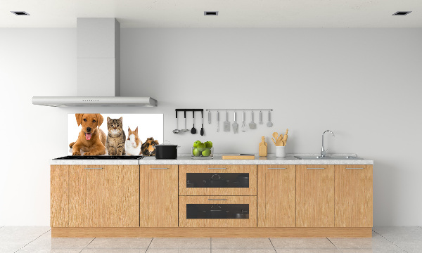 Cooker splashback Dog and cat