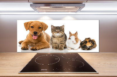 Cooker splashback Dog and cat