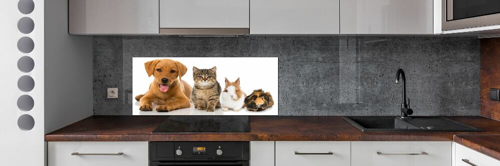 Cooker splashback Dog and cat