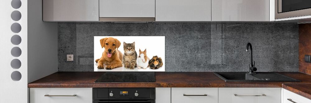 Cooker splashback Dog and cat