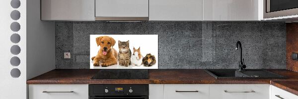 Cooker splashback Dog and cat