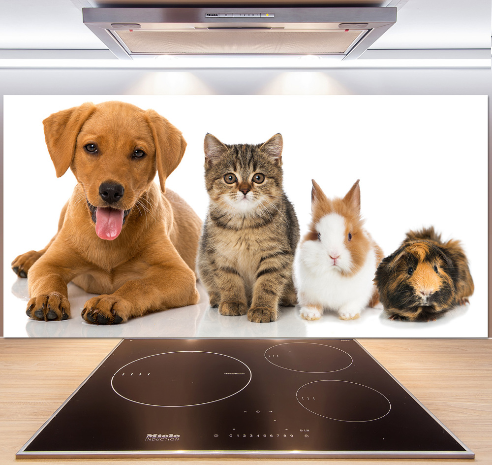 Cooker splashback Dog and cat