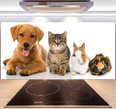 Cooker splashback Dog and cat