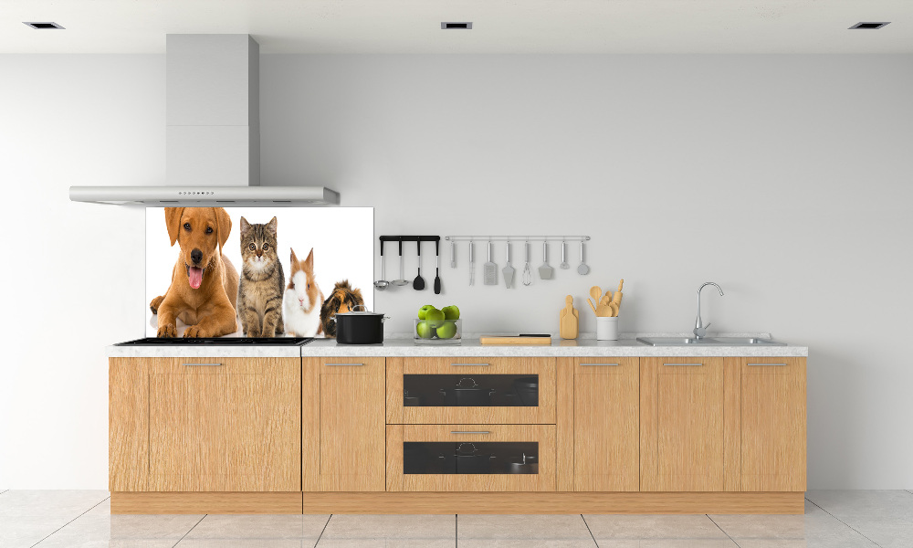 Cooker splashback Dog and cat