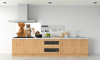 Cooker splashback Dog and cat