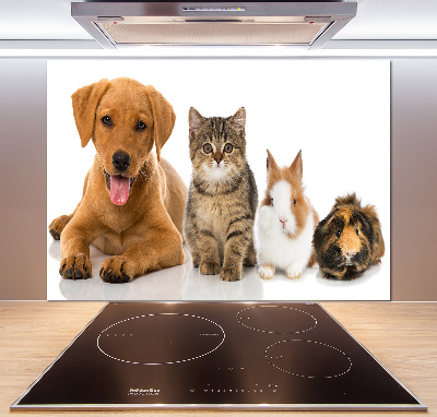 Cooker splashback Dog and cat