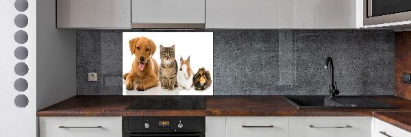 Cooker splashback Dog and cat