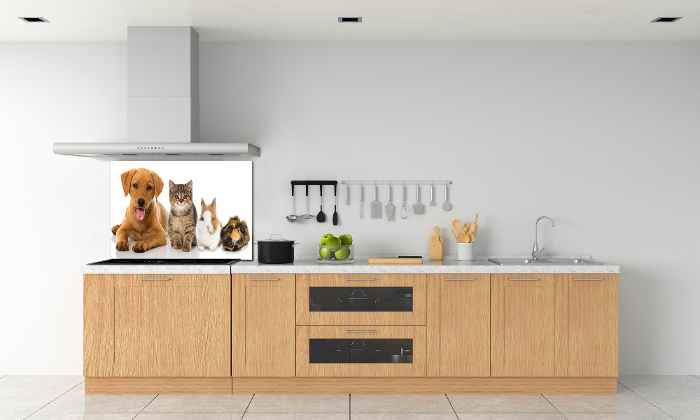 Cooker splashback Dog and cat