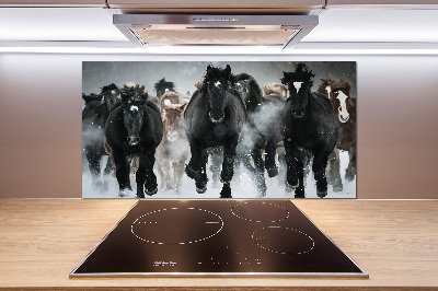 Cooker splashback Horses at gallop