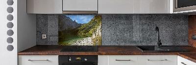 Cooker splashback Morskie Oko Tatry